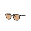 Ray Ban Rb4258 Washed Lenses Sunglasses Black Frame Brown Lenses 52-20 In Black