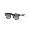 Ray Ban Sunglasses Unisex Rb2180 - Light Havana Frame Grey Lenses 49-21 In Hellhavana