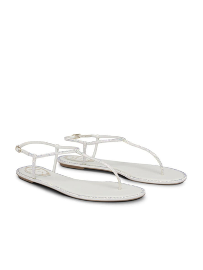 René Caovilla Rene Caovilla Crystal Embellished Thong Sandals In Silver