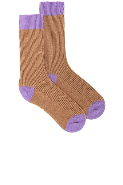 Guest In Residence Two-tone Ribbed Cashmere Socks In Almond & Purple Haze