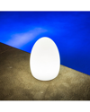 Smart & Green Egg Table Lamp In White