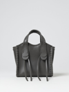 Chloé Mony Leather Bag In Grey
