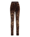 Dolce & Gabbana High Waist Leopard Print Cotton Blend Leggings In Multicolor