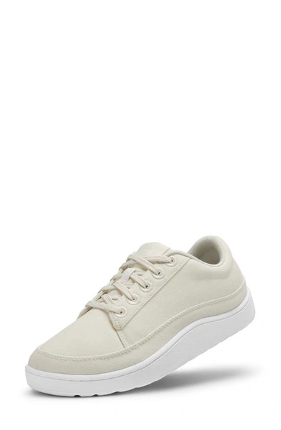Allbirds Pacer Sneaker In Neutral