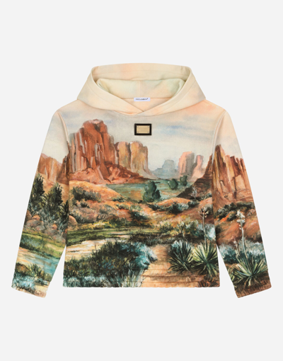 Dolce & Gabbana Kids' Hoodie With Canyon Print And Logo Tag In Brown