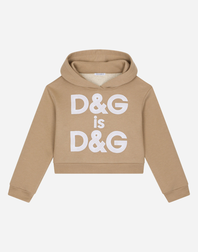 Dolce & Gabbana Kids' Hoodie With Logo Embroidery In Pale Pink