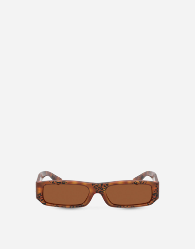 Dolce & Gabbana Kids' "mini Me" Sunglasses In Leo Print Havana