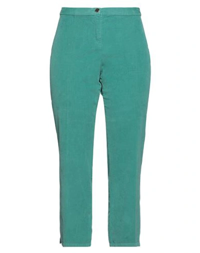 Diana Gallesi Woman Pants Green Size 14 Cotton, Elastane In Green