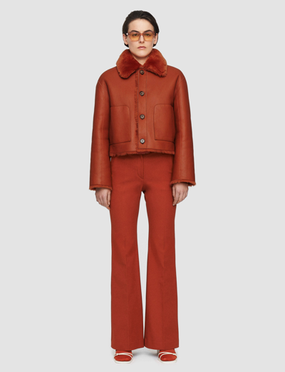 Joseph Alloway Reversible Shearling Jacket In Cinnamon