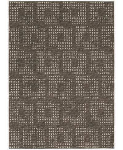 Addison Eleanor Outdoor Washable Aer31 3' X 5' Area Rug In Brown