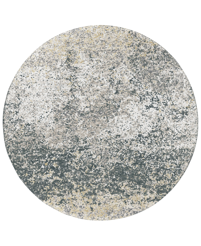 Addison Rylee Outdoor Washable Ary33 8' X 8' Round Area Rug In Gray
