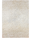 ADDISON RYLEE OUTDOOR WASHABLE ARY33 8' X 10' AREA RUG