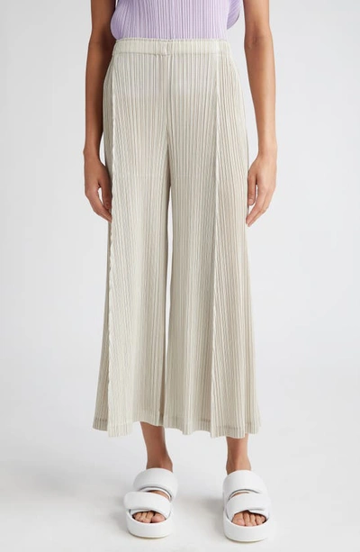 Issey Miyake Pleated Wide Trousers In Greige
