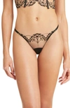 BLUEBELLA MARISA EMBROIDERED MESH THONG