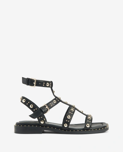 Kenneth Cole Women's Ruby Studded Gladiator Sandals In Black
