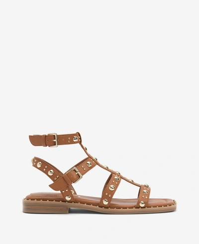 Kenneth Cole Women's Ruby Studded Gladiator Sandals In Cognac