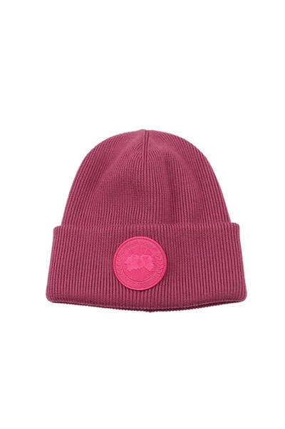 Canada Goose Logo Patch Knitted Beanie In City Magenta