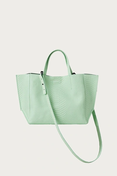 Ampersand As Apostrophe Half Tote In Mint Python In Multi