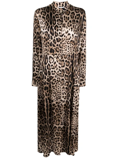 813 Leopard-print Belted Maxi Dress In Brown