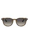 Ray Ban Ray In Multicolor