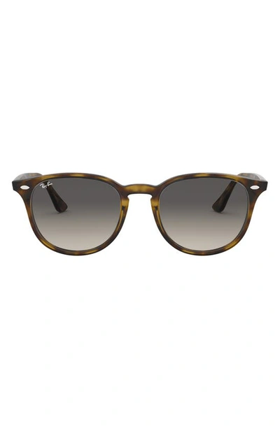 Ray Ban Ray In Havana