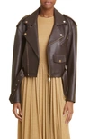 Zimmermann Luminosity Leather Biker Jacket In Espresso