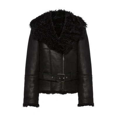 Alberta Ferretti Curly Sheep Shearling Belted Aviator Jacket In Nero