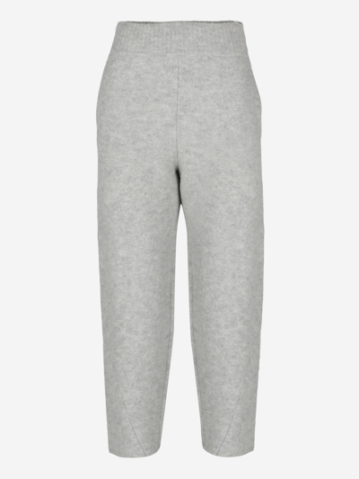 Stella Mccartney Wool Trousers In Grey