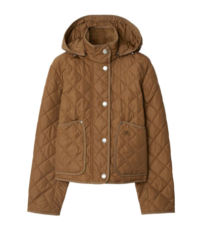 Burberry Quilted Hooded Jacket In Brown