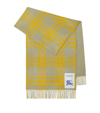 BURBERRY CASHMERE REVERSIBLE CHECK PRINT SCARF