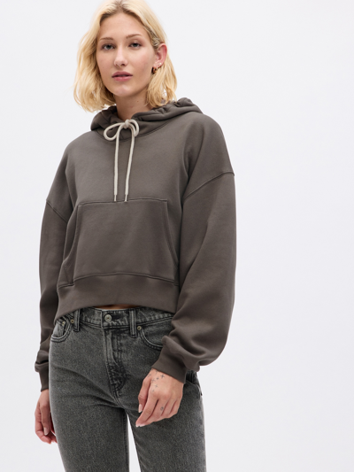 Gap Project  Vintage Soft Cropped Hoodie In Cashmere Brown