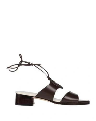 Tory Burch Woman Sandals Dark Brown Size 7 Calfskin In Brown