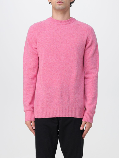 Altea Jumper  Men In Pink