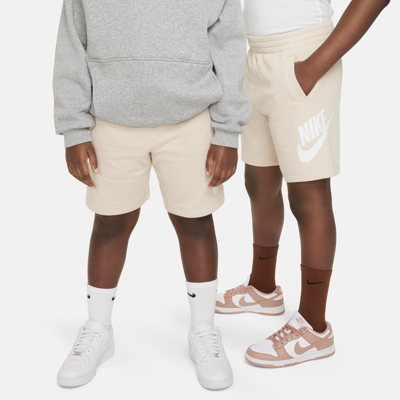 Nike Sportswear Club Fleece Big Kids' Hoodie (extended Size) In Brown
