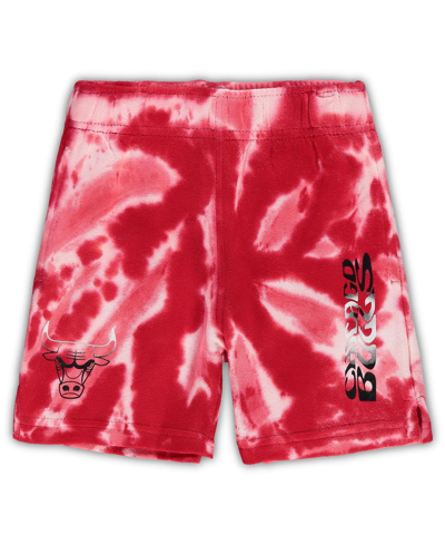 Outerstuff Babies' Preschool White, Red Chicago Bulls Santa Monica Shorts In White,red
