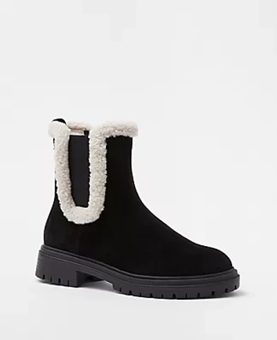 Ann Taylor Shearling Lug Sole Booties In Black