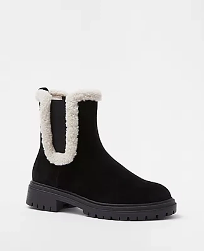 Ann taylor deals sport shoes