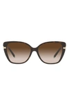 Tiffany & Co 57mm Gradient Cat Eye Sunglasses In Havana