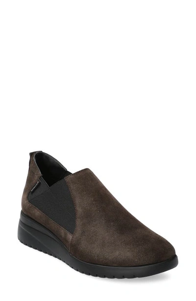 Mephisto Ibelina Wedge Slip-on Trainer In Dark Brown