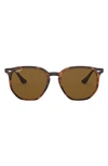 Ray Ban 54mm Polarized Irregular Sunglasses In Havana