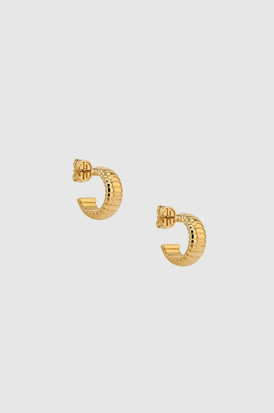 Anine Bing Small Coil Hoop Earrings In Gold