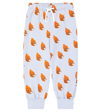 Tinycottons Bears Cotton-blend Sweatpants In Blue