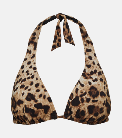 Dolce & Gabbana Leopard-print Bikini Top In Multicoloured