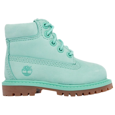 Timberland Kids' Boys  6premium 50th Anniversary In Teal/teal