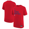 Nike Youth  Red Chicago Bulls Essential Practice T-shirt In Red