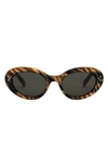 Celine Acetate Cat-eye Sunglasses In Brown/gray Solid