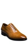 ALLEN EDMONDS SIENA CLEAN CAP TOE OXFORD