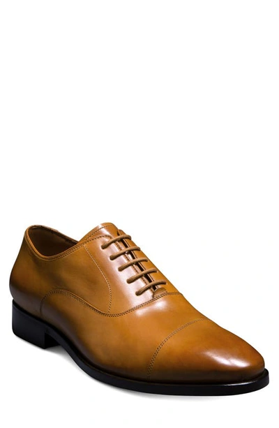 Allen Edmonds Siena Clean Cap Toe Oxford In Walnut