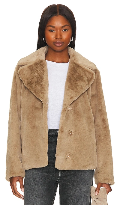 Velvet By Graham & Spencer Raquel Jacket In Tan