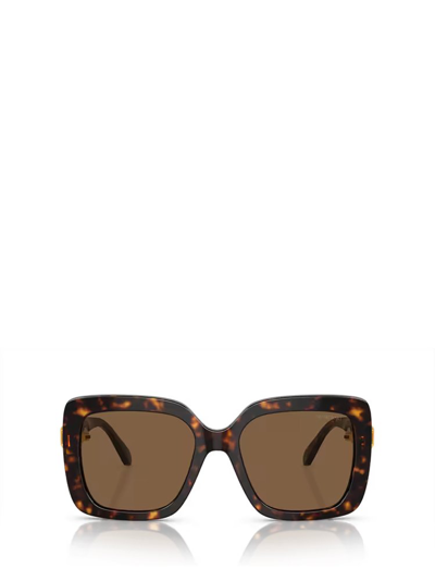 Swarovski Sk6001 Havana Sunglasses In Polarized Brown